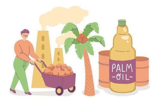 Say no to Palm Oil. Here's Why.....